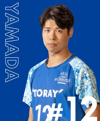 東レアローズ サイン入りバレーボール １７名 女子バレーボール 東レアローズ 黒後愛選手 サインボール クリア