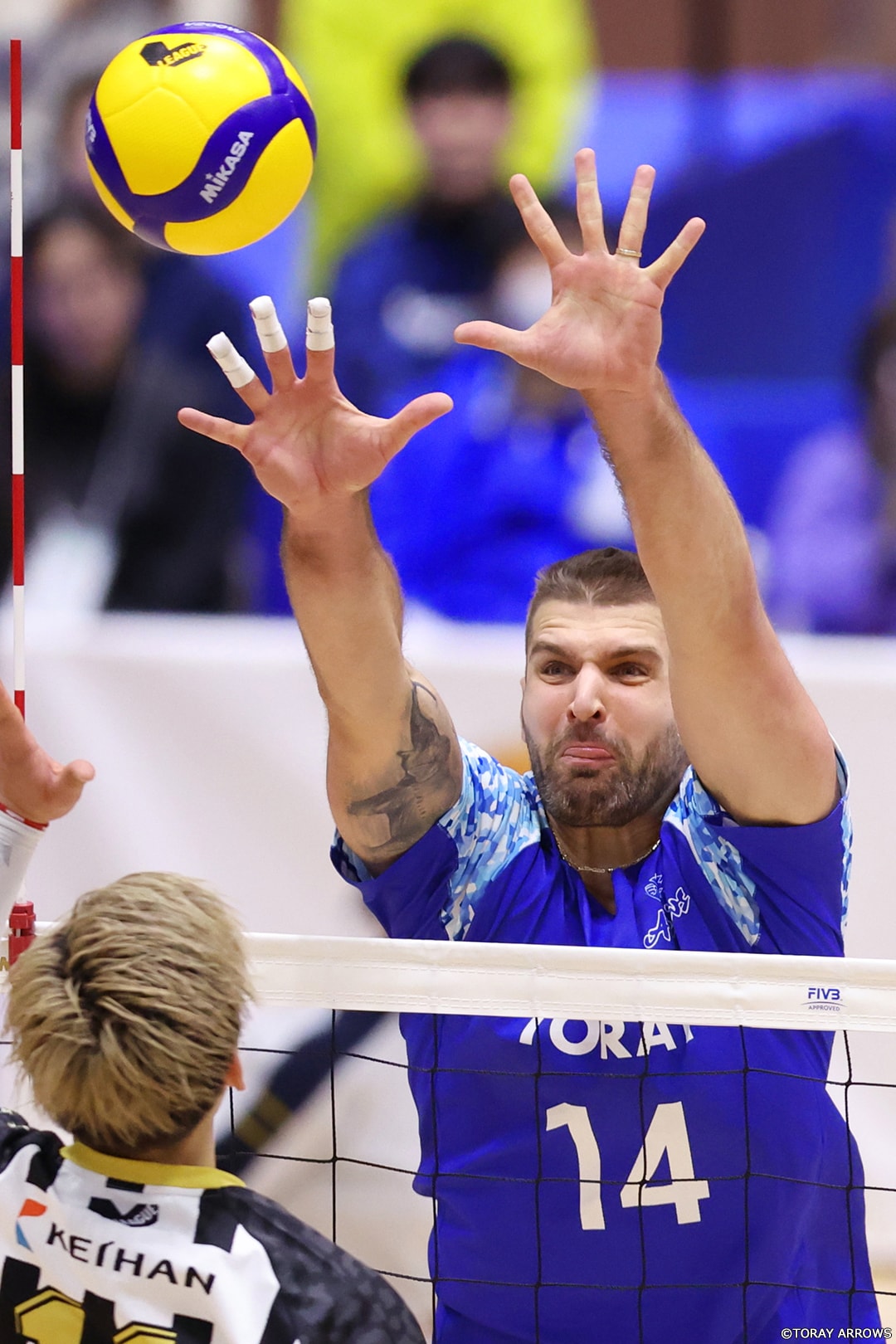 V1リーグ V・レギュラーラウンド | ギャラリー 2023/24 シーズン