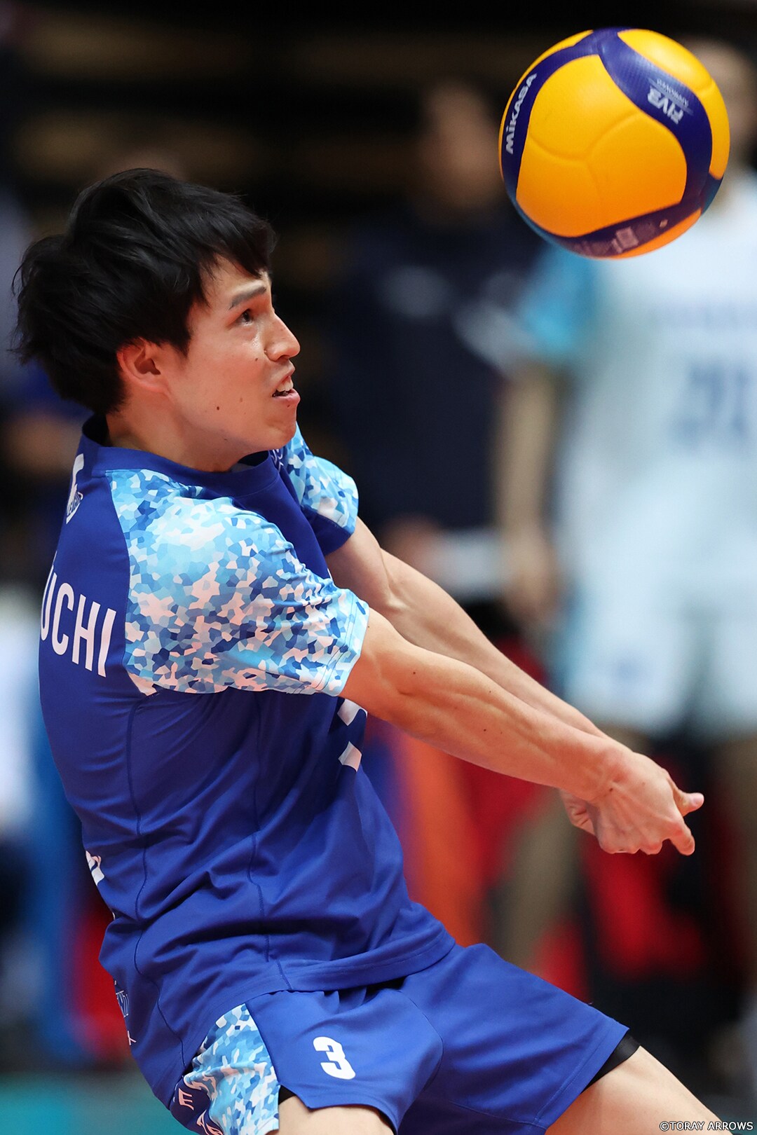 V1リーグ V・ファイナルステージ | ギャラリー 2023/24 シーズン