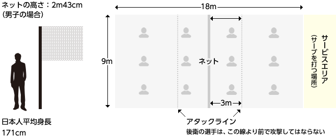 もっとバレーを楽しむために 東レアローズ男子バレーボール部 Toray