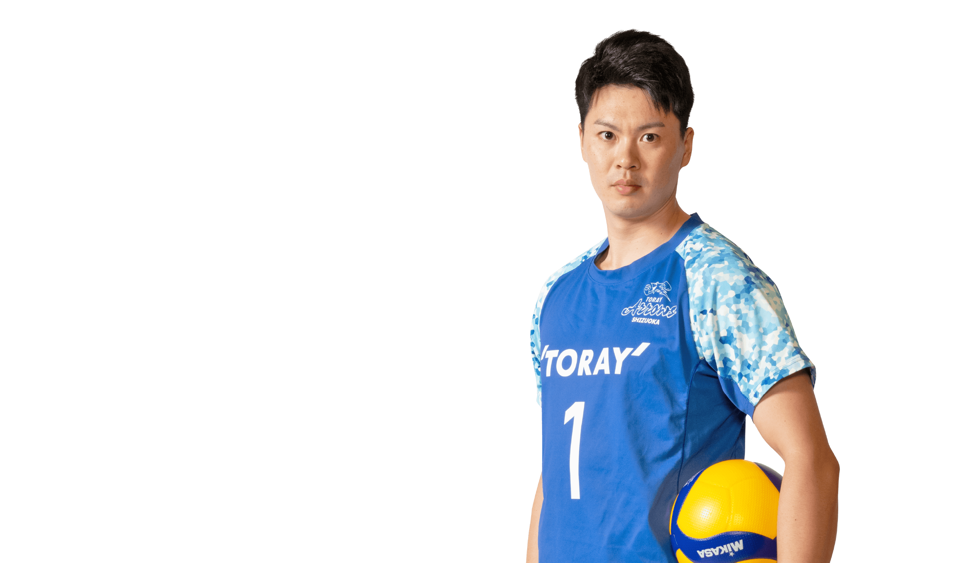 東レアローズ サイン入りバレーボール １７名 東レアローズ バレーボール 直筆サイン - メルカリ