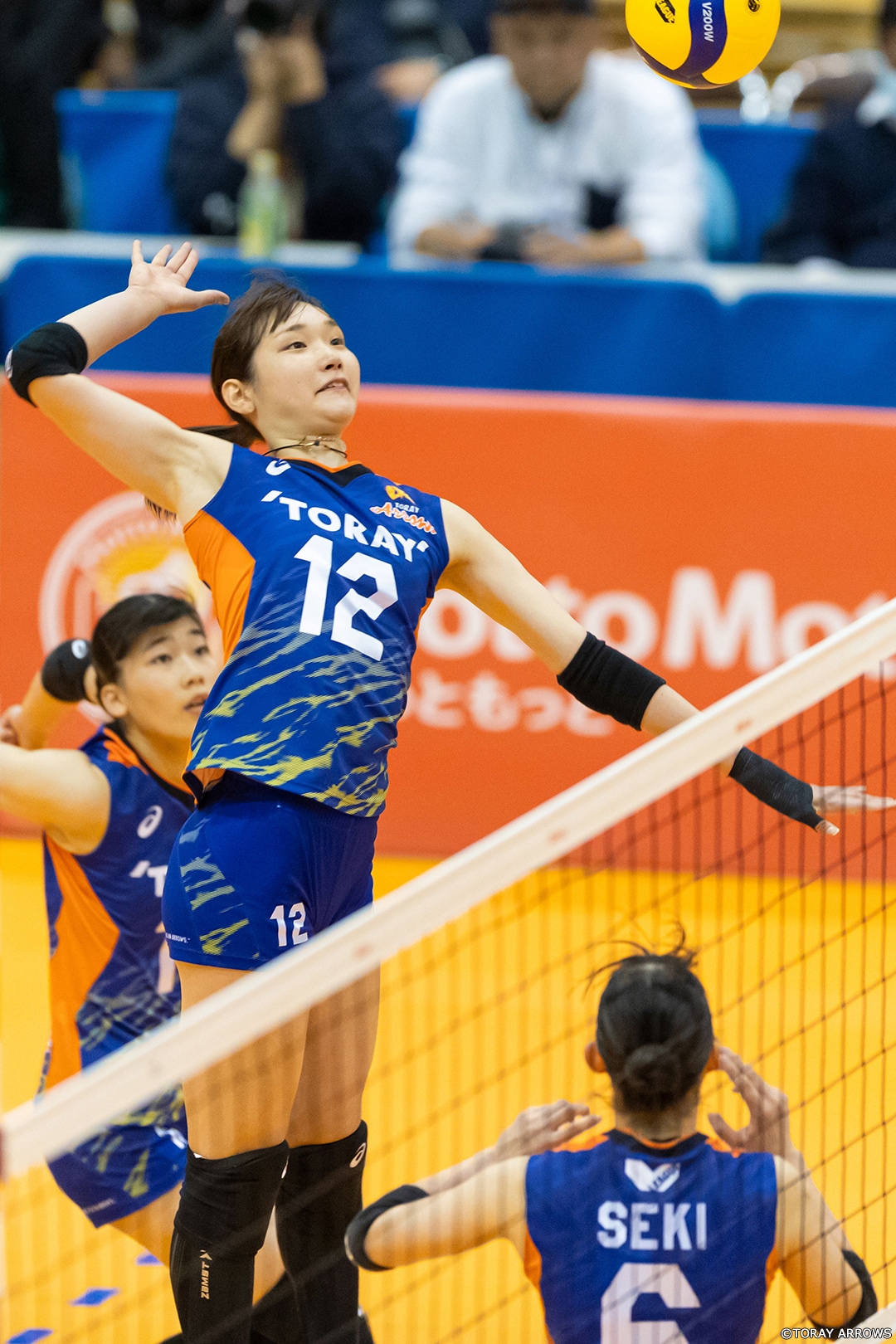 東レアローズ練習着 2021/22シーズン V1リーグ V・レギュラーラウンド | 東レ
