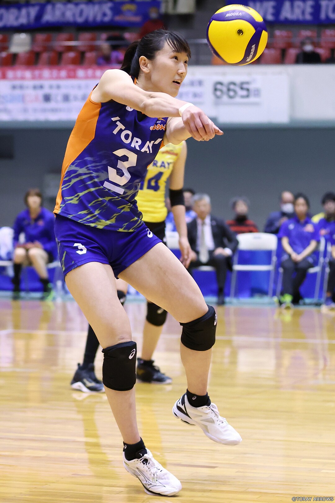 東レアローズ練習着 アローズの日常まとめ #東レアローズ滋賀
