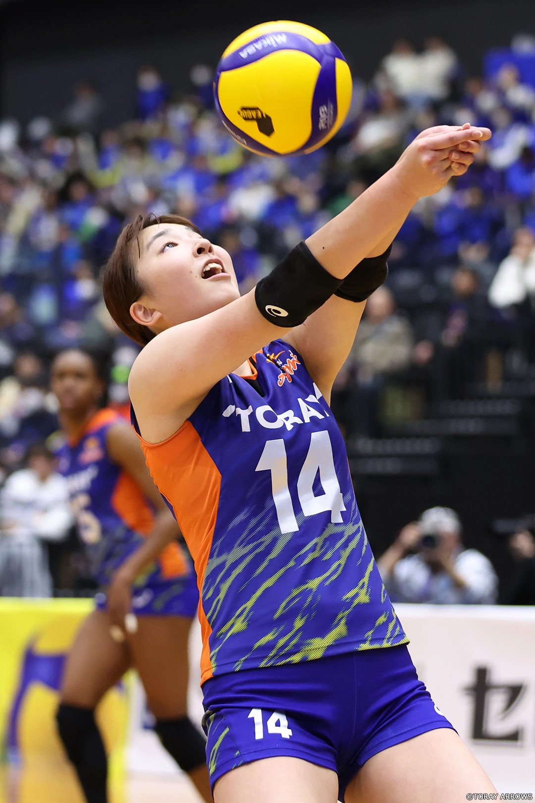 東レアローズ　選手支給　2XL シャツ　SVリーグ 東レアローズ静岡 SVリーグ バレーボール バレー 練習着 Tシャツ