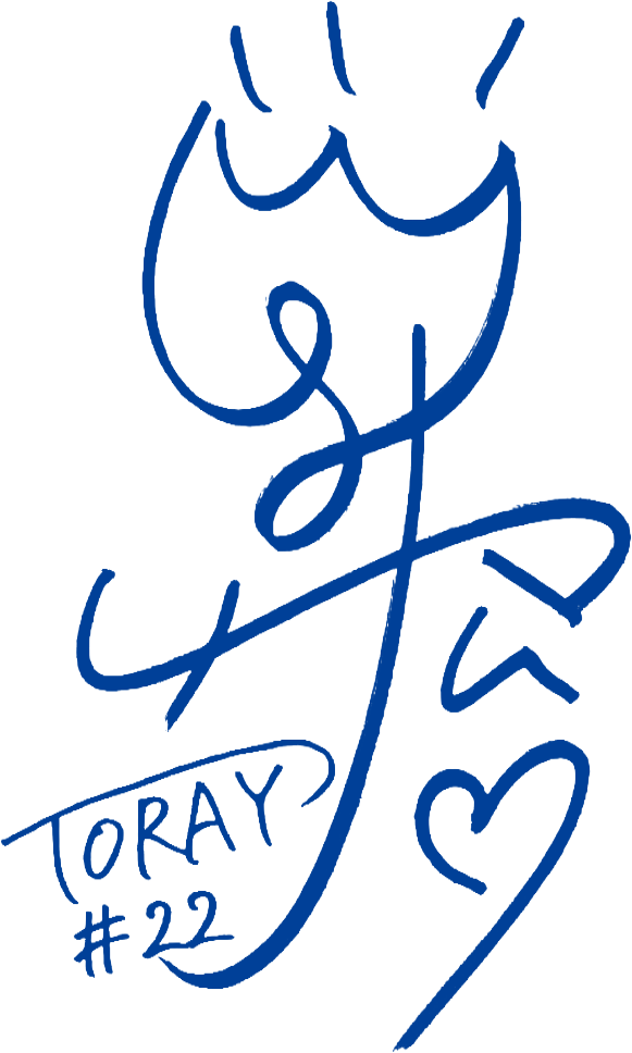 東レアローズ サイン入りバレーボール 17名 K*0様 女子バレーボール